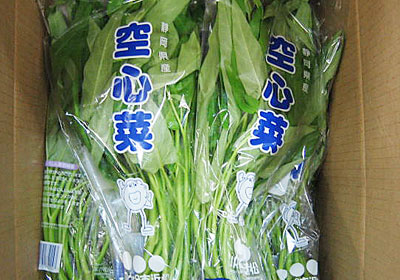 空心菜