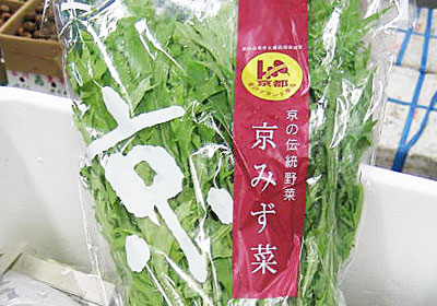 京水菜